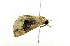  ( - ZZU.LS649)  @11 [ ] CreativeCommons  Attribution Non-Commercial Share-Alike (2023) Unspecified University of Zhengzhou