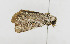  ( - ZZU.LS663)  @11 [ ] CreativeCommons  Attribution Non-Commercial Share-Alike (2023) Unspecified University of Zhengzhou