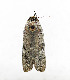  ( - ZZU.LS679)  @11 [ ] CreativeCommons  Attribution Non-Commercial Share-Alike (2023) Unspecified University of Zhengzhou