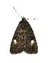  ( - ZZU.LS690)  @11 [ ] CreativeCommons  Attribution Non-Commercial Share-Alike (2023) Unspecified University of Zhengzhou