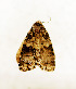  ( - ZZU.LS704)  @11 [ ] CreativeCommons  Attribution Non-Commercial Share-Alike (2023) Unspecified University of Zhengzhou