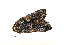  ( - ZZU.LS707)  @11 [ ] CreativeCommons  Attribution Non-Commercial Share-Alike (2023) Unspecified University of Zhengzhou