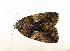  ( - ZZU.LS708)  @11 [ ] CreativeCommons  Attribution Non-Commercial Share-Alike (2023) Unspecified University of Zhengzhou