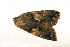  ( - ZZU.LS709)  @11 [ ] CreativeCommons  Attribution Non-Commercial Share-Alike (2023) Unspecified University of Zhengzhou