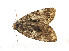  ( - ZZU.LS736)  @11 [ ] CreativeCommons  Attribution Non-Commercial Share-Alike (2023) Unspecified University of Zhengzhou