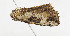  ( - ZZU.LS741)  @11 [ ] CreativeCommons  Attribution Non-Commercial Share-Alike (2023) Unspecified University of Zhengzhou