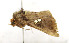  ( - ZZU.LS751)  @11 [ ] CreativeCommons  Attribution Non-Commercial Share-Alike (2023) Unspecified University of Zhengzhou