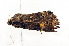  ( - ZZU.LS754)  @11 [ ] CreativeCommons  Attribution Non-Commercial Share-Alike (2023) Unspecified University of Zhengzhou