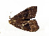  ( - ZZU.LS759)  @11 [ ] CreativeCommons  Attribution Non-Commercial Share-Alike (2023) Unspecified University of Zhengzhou