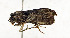  ( - ZZU.LS775)  @11 [ ] CreativeCommons  Attribution Non-Commercial Share-Alike (2023) Unspecified University of Zhengzhou