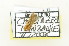  ( - AMSww06157)  @11 [ ] CreativeCommons  Attribution NonCommercial (2018) Andrew Mitchell Australian Museum