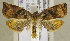  ( - TORTAG-TMG-033)  @14 [ ] Copyright (2010) Unspecified Colorado State University