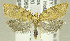  ( - TORTAG-TMG-061)  @14 [ ] Copyright (2010) Unspecified Colorado State University