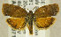  ( - TORTAG-TMG-071)  @13 [ ] Copyright (2010) Unspecified Colorado State University