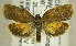  ( - TORTAG-TMG-072)  @12 [ ] Copyright (2010) Unspecified Colorado State University