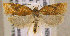  ( - TORTAG-TMG-105)  @14 [ ] Copyright (2010) Unspecified Colorado State University