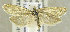  ( - TORTAG-TMG-119)  @13 [ ] Copyright (2010) Unspecified Colorado State University