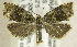  ( - TORTAG-TMG-145)  @11 [ ] Copyright (2010) Unspecified Colorado State University