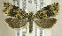  ( - TORTAG-TMG-147)  @11 [ ] Copyright (2010) Unspecified Colorado State University