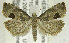  ( - TORTAG-TMG-153)  @13 [ ] Copyright (2010) Unspecified Colorado State University