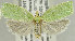  ( - TORTAG-TMG-186)  @11 [ ] Copyright (2010) Unspecified Colorado State University