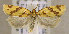  ( - TORTAG-TMG-203)  @11 [ ] Copyright (2010) Unspecified Colorado State University