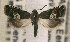  ( - TORTAG-TMG-211)  @13 [ ] Copyright (2010) Unspecified Colorado State University