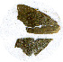  ( - AYK-04-1279-11)  @12 [ ] CreativeCommons - Attribution Non-Commercial Share-Alike (2011) Kim Mitter University of Maryland