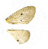  ( - AYK-07-9160)  @12 [ ] CreativeCommons - Attribution Non-Commercial Share-Alike (2011) Kim Mitter University of Maryland
