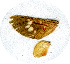  ( - AYK-07-9219)  @12 [ ] CreativeCommons - Attribution Non-Commercial No Derivatives (2009) Unspecified University of Maryland