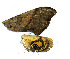  ( - CM-09-9002)  @12 [ ] Copyright (2010) Unspecified University of Maryland