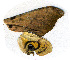  ( - CM-09-9003)  @12 [ ] Copyright (2010) Unspecified University of Maryland