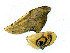  ( - CM-09-9004)  @12 [ ] Copyright (2010) Unspecified University of Maryland