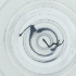  ( - LUHW_009_E4)  @11 [ ] by  Genome Research Ltd as Wellcome Sanger Institute Genome Research Limited operating as Wellcome Sanger Institute