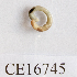  (Dendrobaena cf. attemsi - CE16745)  @14 [ ] CreativeCommons - Attribution Non-Commercial Share-Alike (2014) Svante Martinsson University of Gothenburg