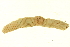  ( - CE6285)  @13 [ ] CreativeCommons - Attribution (2010) Unspecified Centre for Biodiversity Genomics