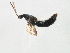  ( - BIOUG00676-G04)  @12 [ ] CreativeCommons - Attribution (2011) CBG Photography Group Centre for Biodiversity Genomics