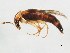  ( - BIOUG00676-G08)  @13 [ ] CreativeCommons - Attribution (2011) CBG Photography Group Centre for Biodiversity Genomics