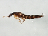  ( - BIOUG00676-H06)  @13 [ ] CreativeCommons - Attribution (2011) CBG Photography Group Centre for Biodiversity Genomics