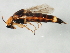  ( - BIOUG00676-H07)  @13 [ ] CreativeCommons - Attribution (2011) CBG Photography Group Centre for Biodiversity Genomics