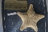  ( - SE_02)  @11 [ ] Unspecified (default): All Rights Reserved  Unspecified Unspecified