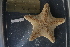  ( - SE_02)  @11 [ ] Unspecified (default): All Rights Reserved  Unspecified Unspecified