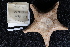  ( - A11_As02)  @11 [ ] Unspecified (default): All Rights Reserved  Unspecified Unspecified