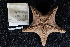  ( - A11_As02)  @11 [ ] Unspecified (default): All Rights Reserved  Unspecified Unspecified