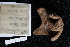  ( - A11_As09)  @11 [ ] Unspecified (default): All Rights Reserved  Unspecified Unspecified
