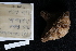 ( - A11_As09)  @11 [ ] Unspecified (default): All Rights Reserved  Unspecified Unspecified