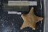  ( - EL_03)  @11 [ ] Unspecified (default): All Rights Reserved  Unspecified Unspecified