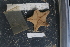  ( - CH1_As06)  @11 [ ] Unspecified (default): All Rights Reserved  Unspecified Unspecified