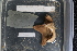  ( - EZ_01)  @11 [ ] Unspecified (default): All Rights Reserved  Unspecified Unspecified