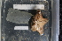  ( - EZ_01)  @11 [ ] Unspecified (default): All Rights Reserved  Unspecified Unspecified